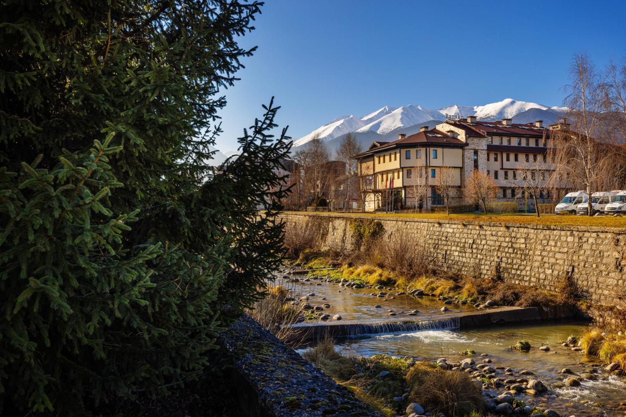 Coliving Bansko, The Social Hotel By Networking Premium Zewnętrze zdjęcie
